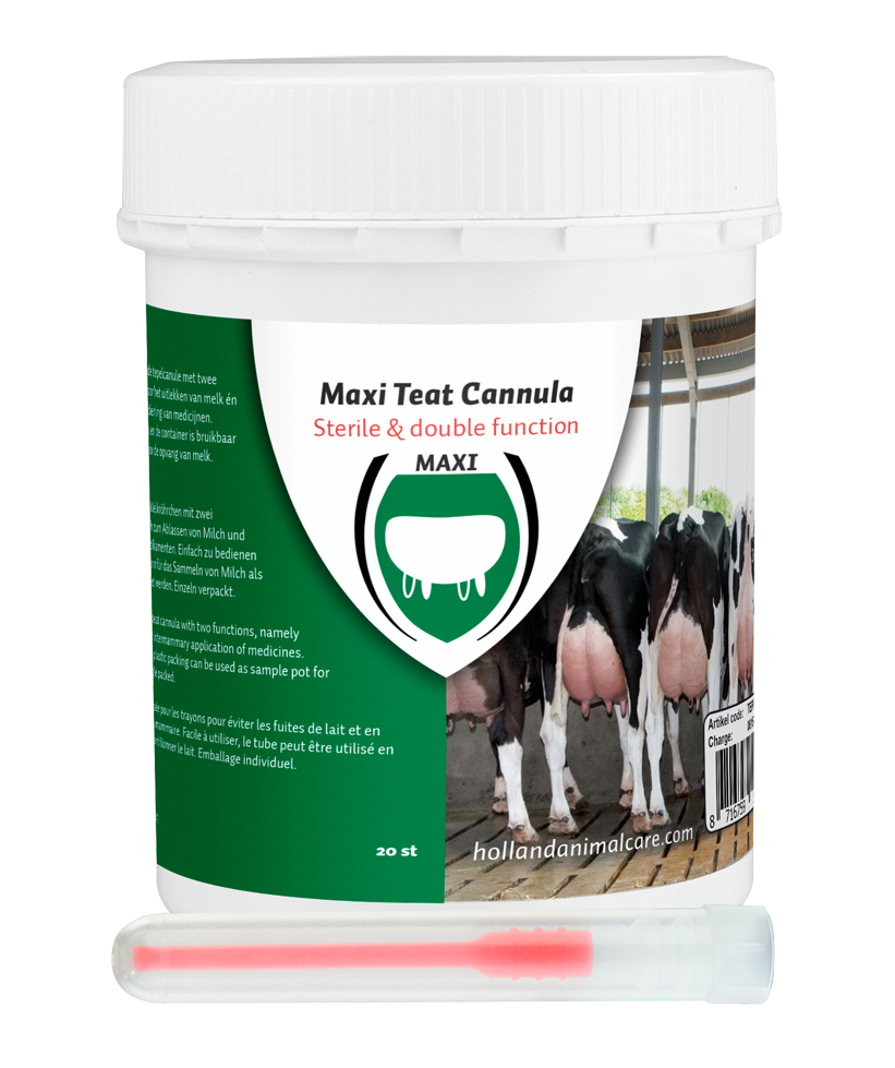 Excellent Maxi Teat Cannula 55 mm 20 pcs