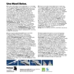 Excellent Uno Masti Bolus 4 pieces - Image 3