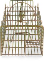 Trap for live catch rat multi catch