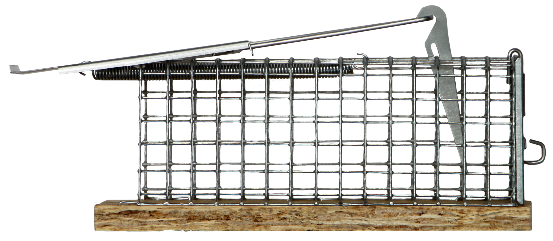 Mousetrap alive "Dura"