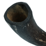 Viking Horn Whole S - Image 4