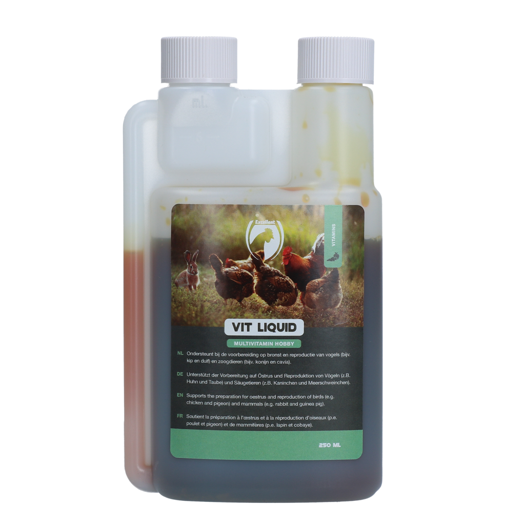 VITL00250 Excellent Vit Liquid Multivitamin Hobby 250 ml - Image 1