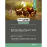 Excellent Vit Liquid Multivitamin Hobby 500 ml - Image 2