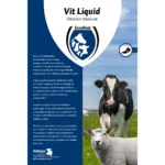 Excellent Vit Liquid Multivitamin 1 l - Image 2