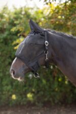 Halter with integrated fly mask Cob - Image 3