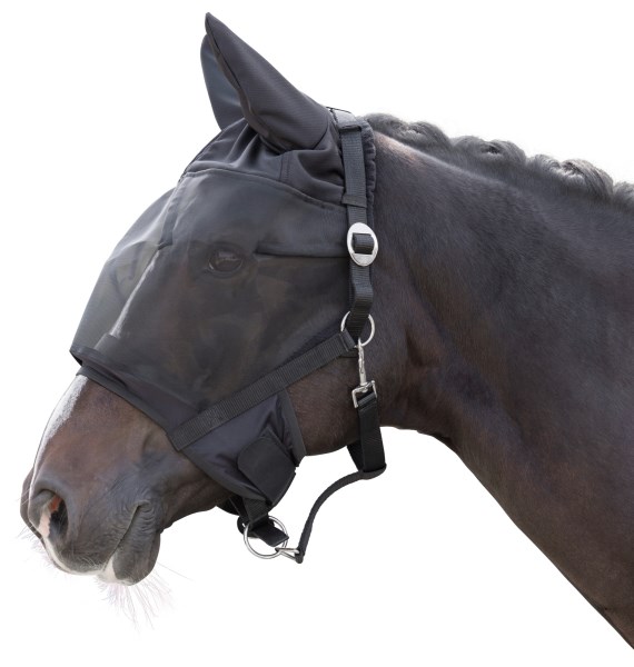 Halter with integrated fly mask Cob
