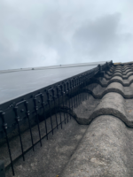 Bird pins Solar panels 50 cm Black - Image 3