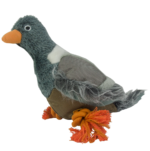 Wild Life Dog Pigeon - Image 2