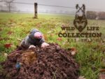 Wild Life Dog Mole - Image 3