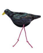 Wild Life Cat Starling - Image 2