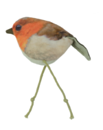 Wild Life Cat Robin - Image 2