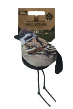 Wild Life Cat Sparrow