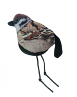 Wild Life Cat Sparrow - Image 2