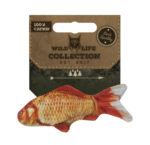 Wild Life Cat Goldfish