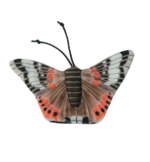 Wild Life Cat Admiral Butterfly - Image 2