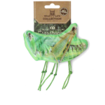 Wild Life Cat Grasshopper