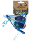 Wild Life Cat Dragonfly