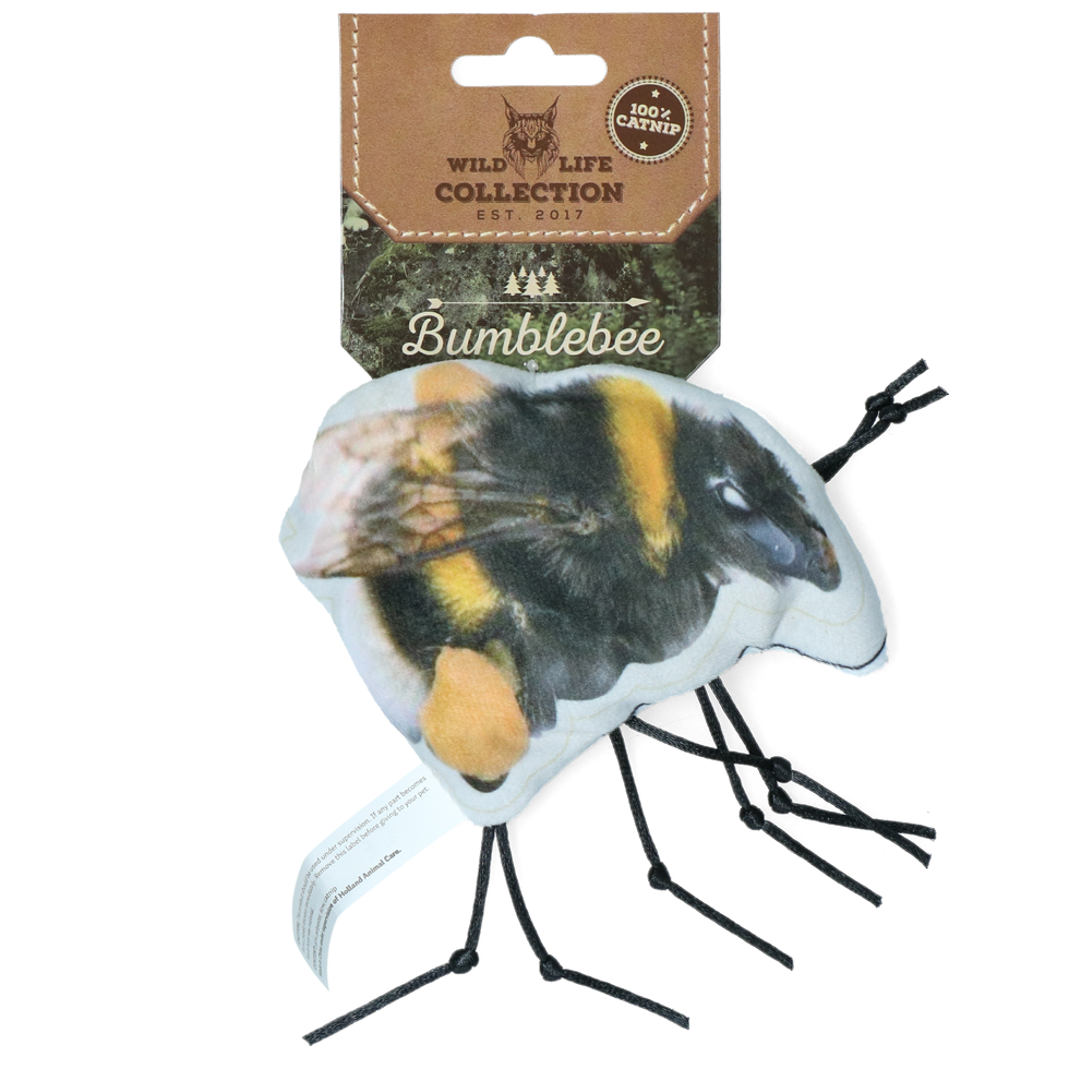Wild Life Cat Bumblebee