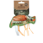 Wild Life Cat Beetle