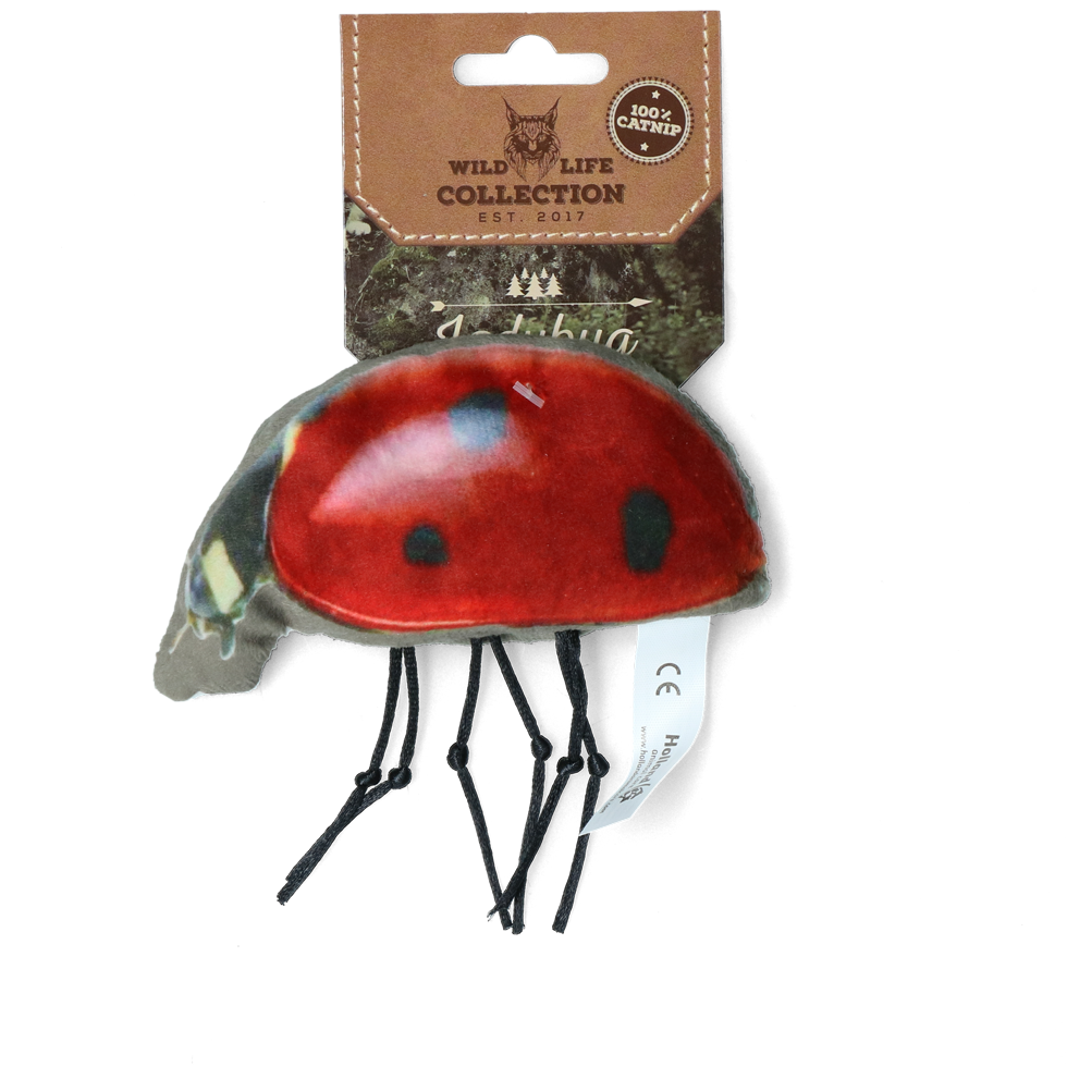 Wild Life Cat Ladybug