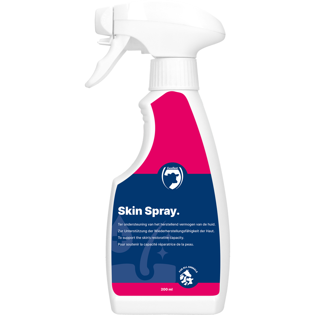 Excellent Skin Spray Blank 200 ml