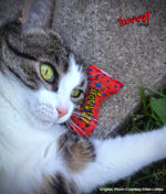 Yeowww! Tin of Stinkies - Image 6