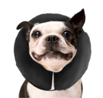 Zenpet ProCollar M - Image 4