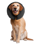 Zenpet ProCollar XL - Image 4