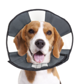 Zenpet Procone M - Image 3