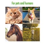 Zenpet Tick Tornado (Tick Remover) - Image 6