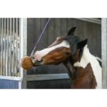 Likit GranoLo Stallball 1.5 kg - Image 4