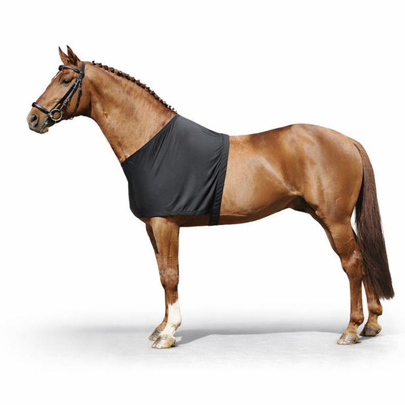 daac6363-73d5-4533-aebf-d6da1fdf9347-md HKM Chest protector - Image 1