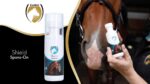 Excellent Horse Shield Spons-On 75 g NL/FR - Image 3