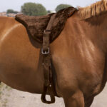 NORTON Bareback-Riding pad – Comfort