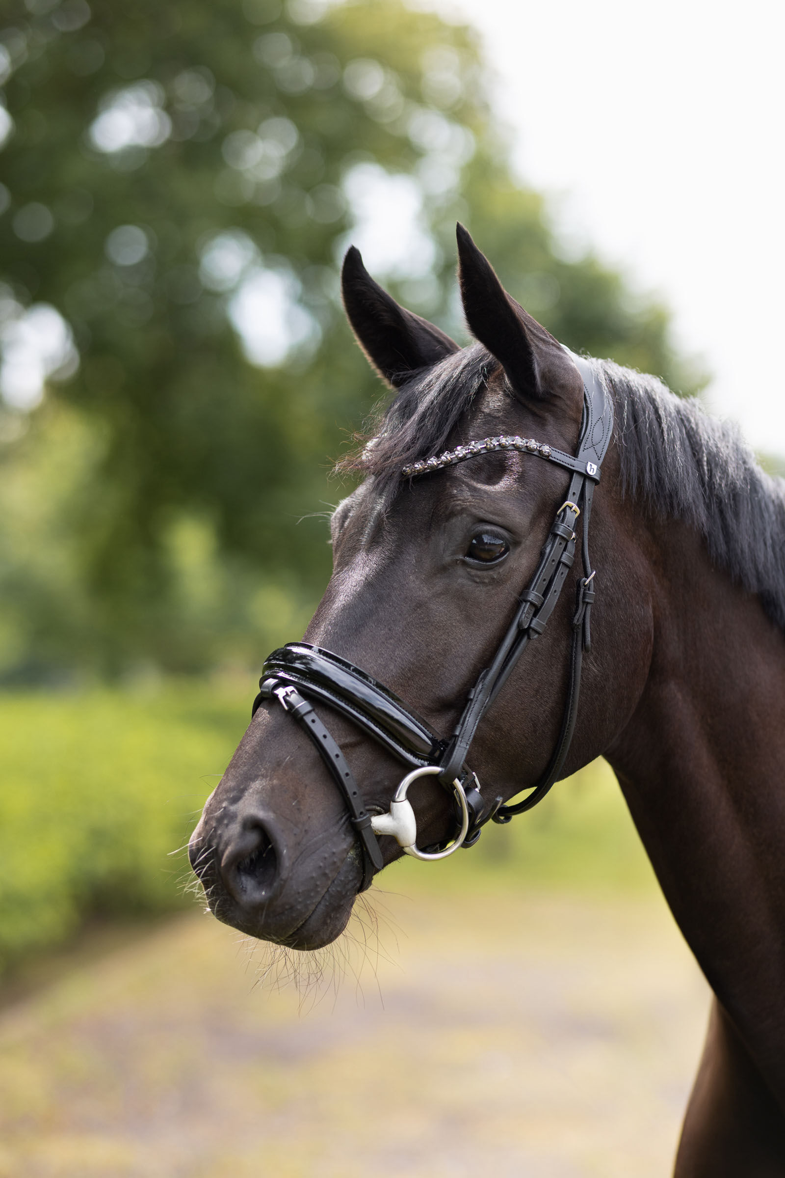 Horze Clermont Anatomic Bridle