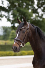 Horze Somerset Anatomic Bridle - Image 4