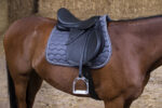 NORTON CLUB - Rexine Evol - All-purpose saddle