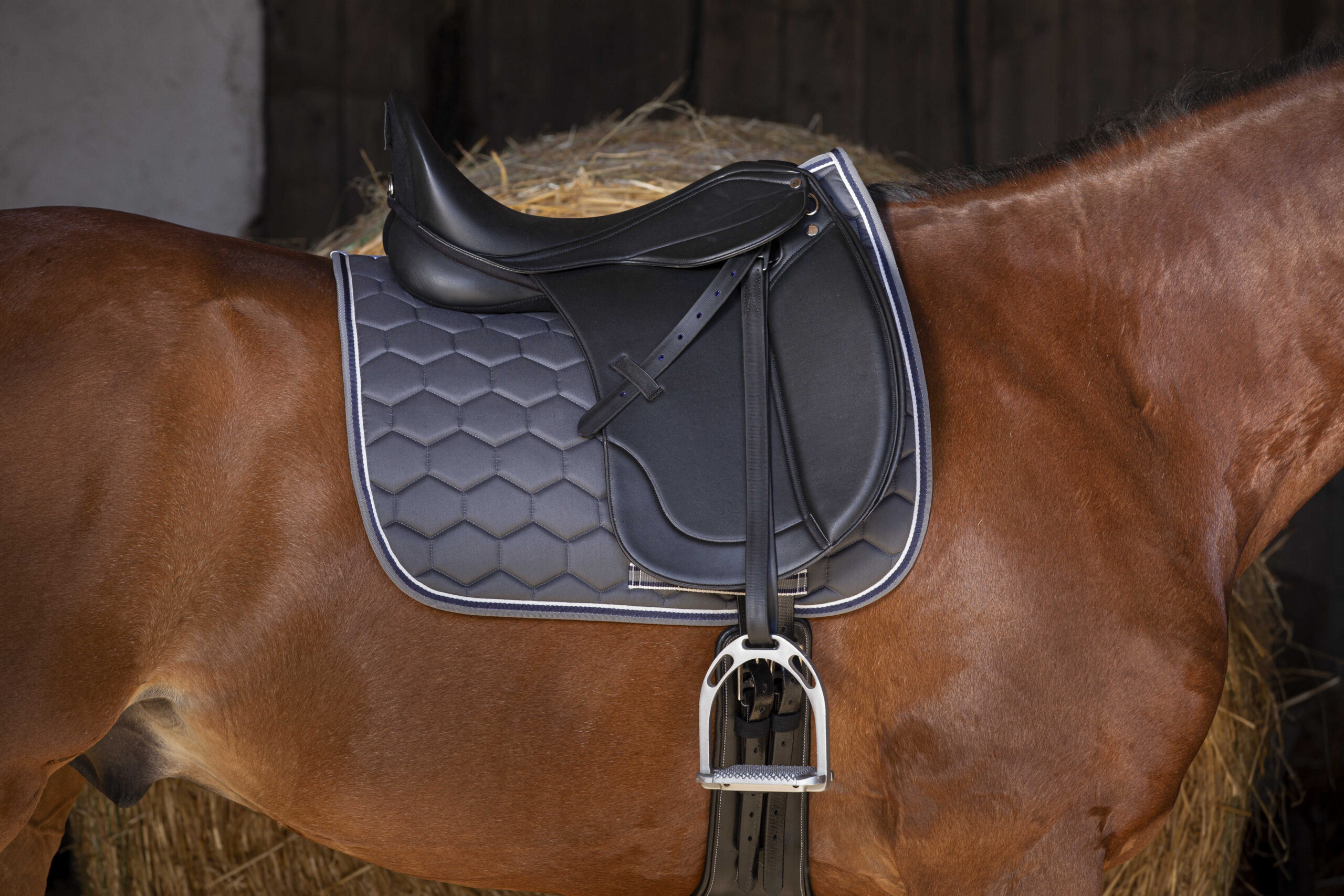 NORTON CLUB - Rexine Evol - Dressage saddle