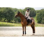 HKM 2-IN-1 Parka -Alpine- - Image 2