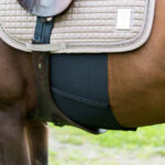 Horze Elastic Belly Guard - Image 2