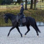 Horze Adepto All Purpose Saddle Pad - Image 10