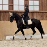 Horze Adepto All Purpose Saddle Pad - Image 8