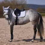 Horze Adepto All Purpose Saddle Pad - Image 4