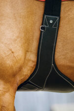 NORTON - Magnet - Saddle Girth - Image 6