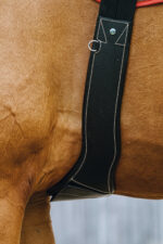 NORTON - Magnet - Anatomical Girth - Image 5