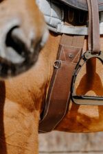 NORTON - Magnet - Anatomical Girth - Image 12