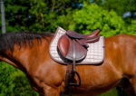 EQUITHÈME Saddlebag – Chic - Image 3