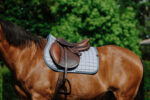 EQUITHÈME Saddlebag – Chic - Image 11