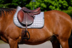 EQUITHÈME Saddlebag – Chic - Image 18