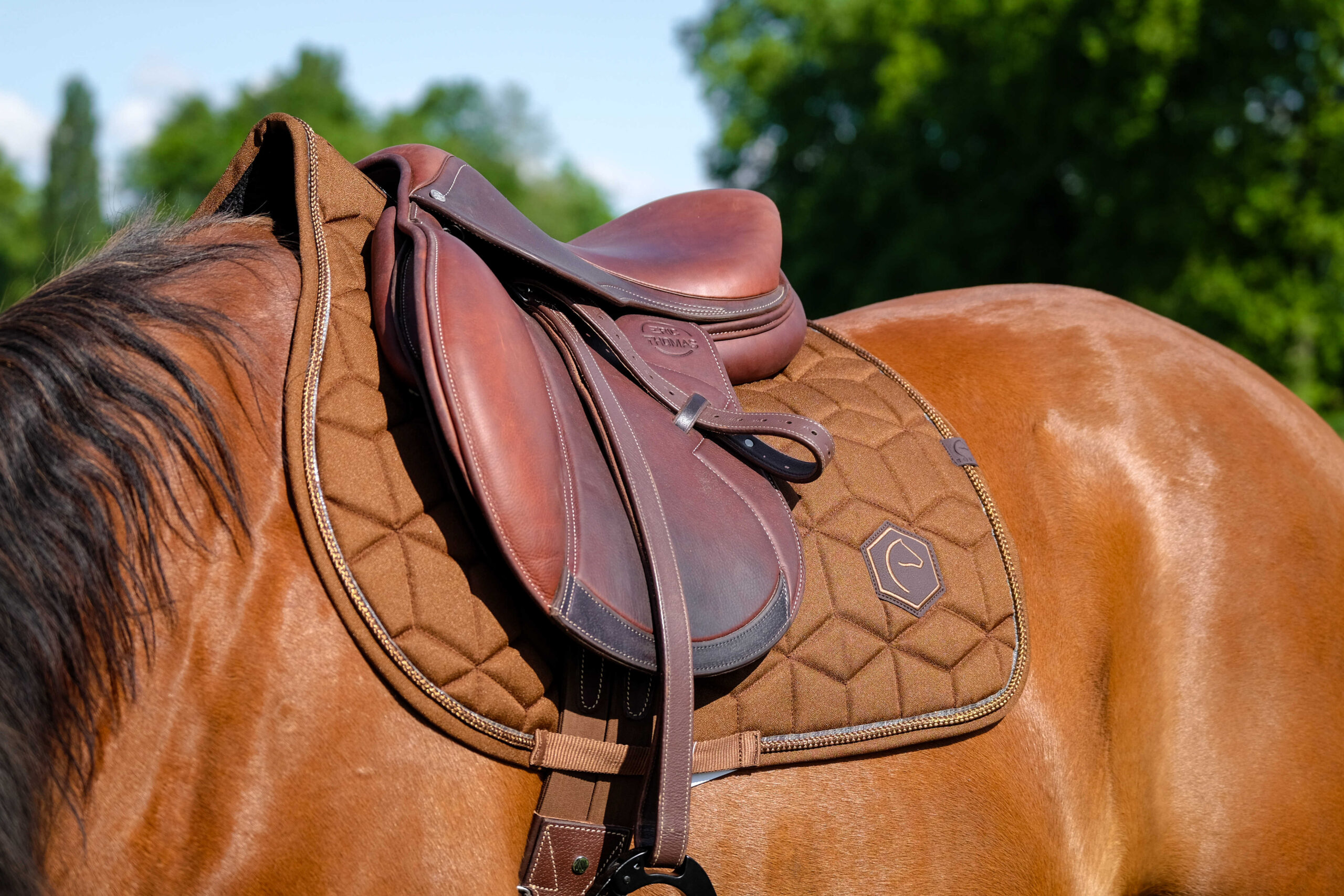 EQUITHÈME Saddlebag - Hexalight